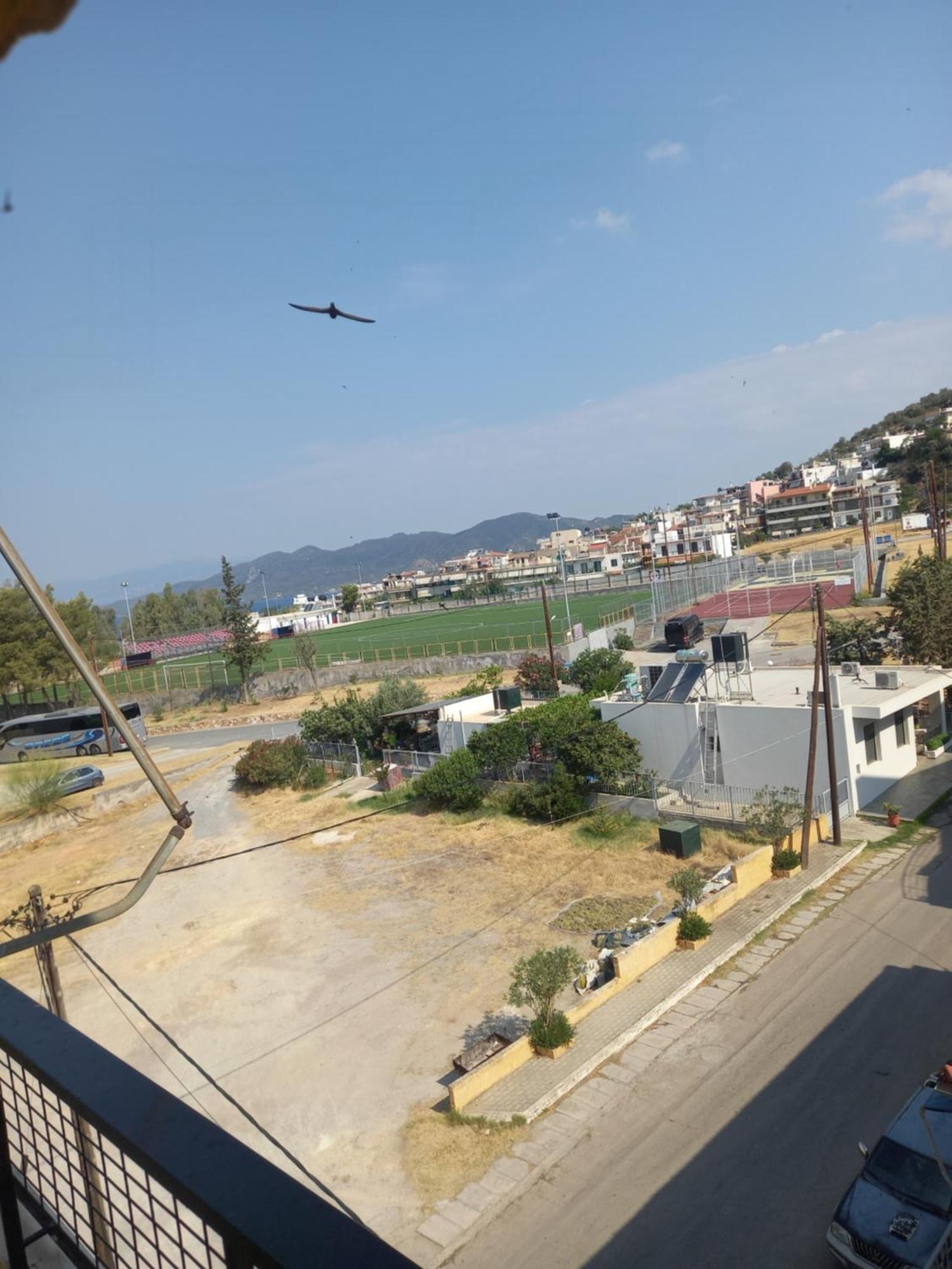 Ταίναρο Ξενοδοχείο Λουτρά Αιδηψού Εξωτερικό φωτογραφία